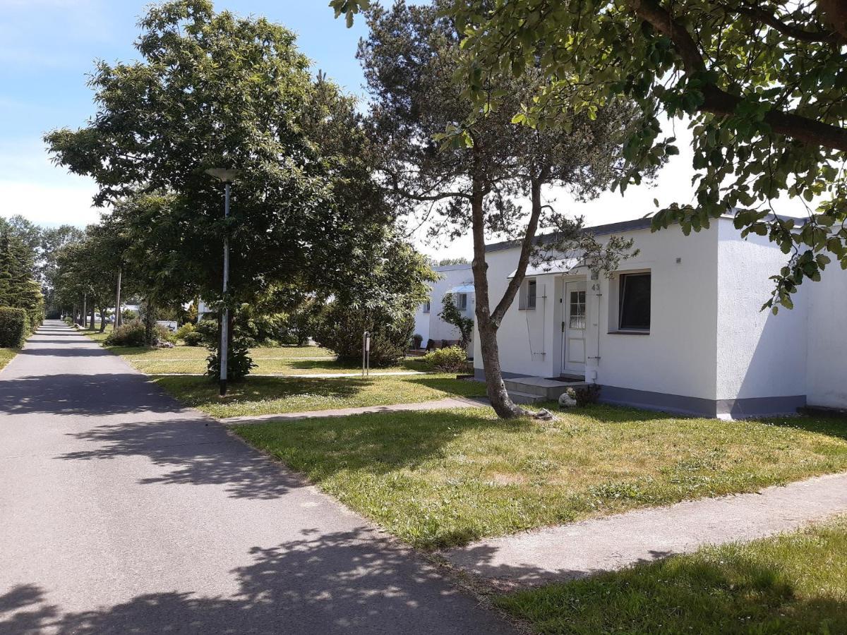 Ferienhaeuschen Kuestenwald Bei Warnemuende, Eigener Garten, Terrasse Mit Strandkorb, 400M Zum Strand Diedrichshagen  Exterior photo