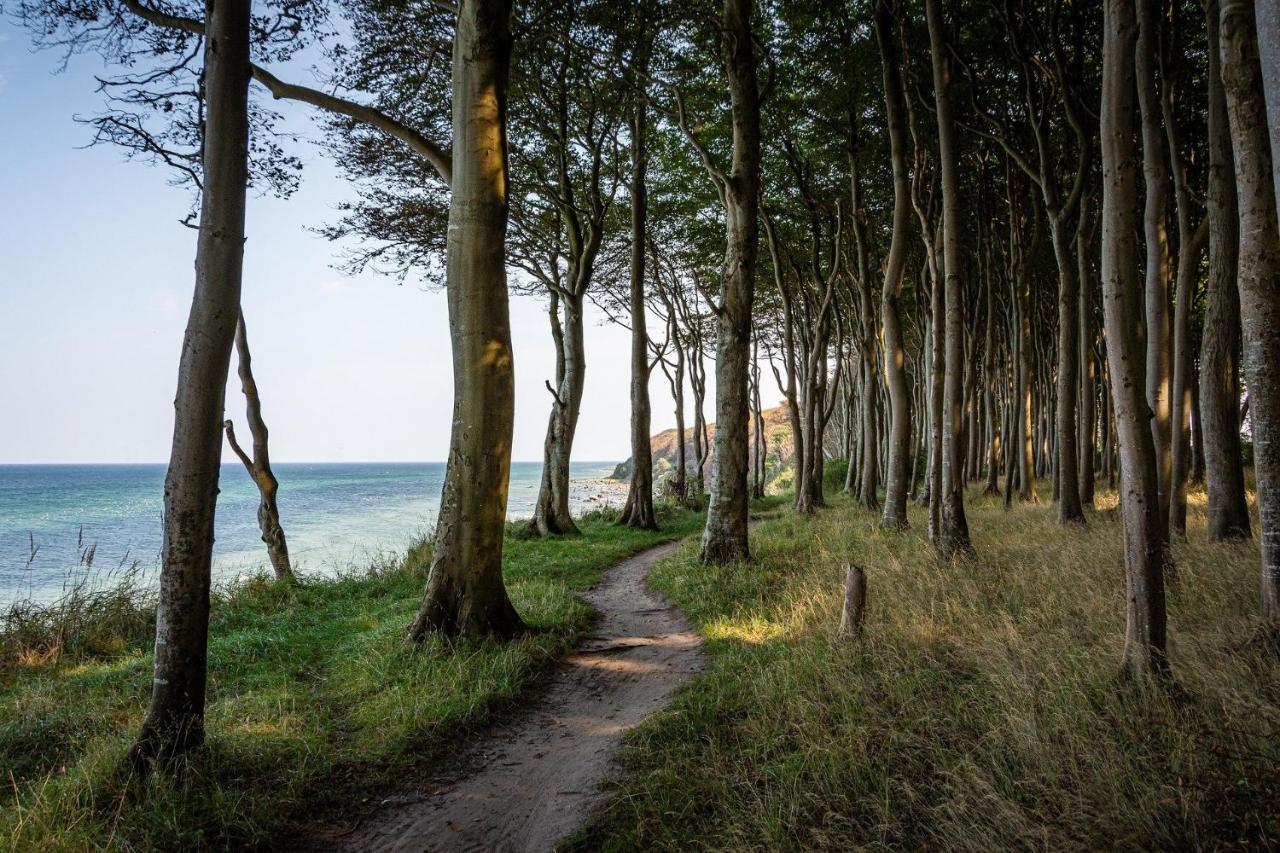 Ferienhaeuschen Kuestenwald Bei Warnemuende, Eigener Garten, Terrasse Mit Strandkorb, 400M Zum Strand Diedrichshagen  Exterior photo